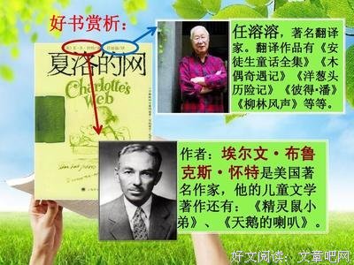 《布鲁卡的脑》读后感1000字