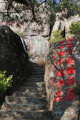 关于守望的优美句子