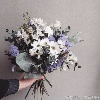 愿你一切安好经典的句子