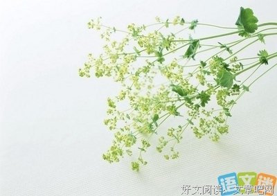 容祖过比才名句欣赏