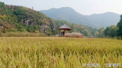 《新四季歌》观后感精选