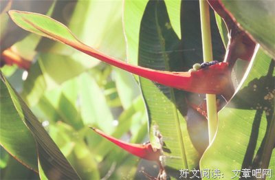 《以她之名》的读后感大全