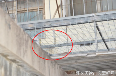 《为何母爱会伤人》读后感摘抄