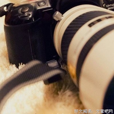 情爱画廊读后感锦集