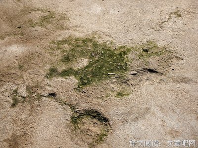 《乌有乡消息》读后感摘抄