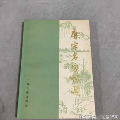 《唐宋名家词选》读后感锦集