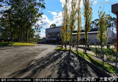 《曼克》经典影评有感