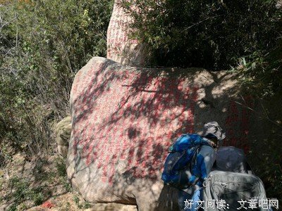 《天落水》好看吗？经典观后感锦集