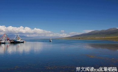 魂归阿寒的读后感大全