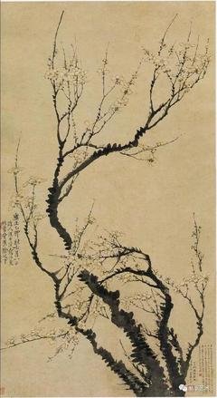 盲心精选集