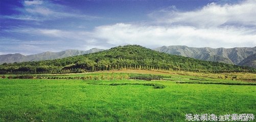 千秋，万年十时，须臾，不朽句子
