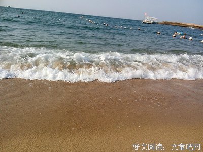 《我的孤独》的句子