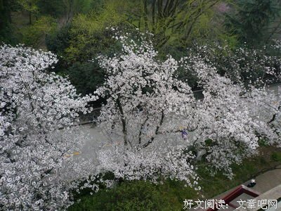 大道之以打句子大全