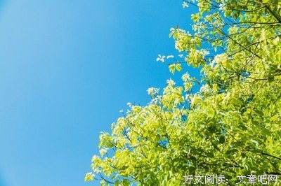 北栀倾寒优美的句子