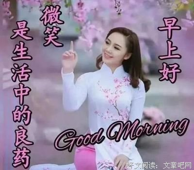 《时光静好》的句子