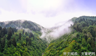 关于赫第她曼·黑塞名人名言