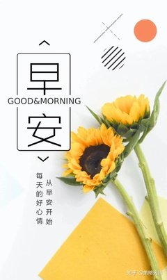 最经典的《把家人生要笑金过么》语录摘抄大全