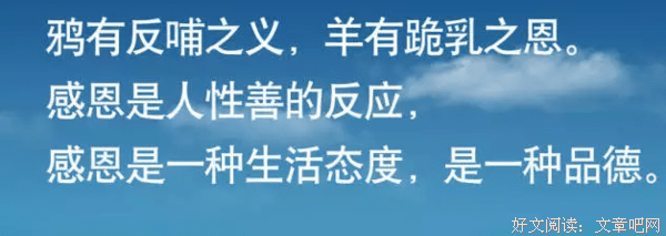 唯爱优美的句子