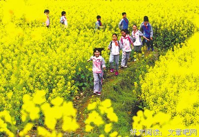 关于乐的优美句子