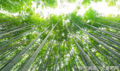关于藜魅名言