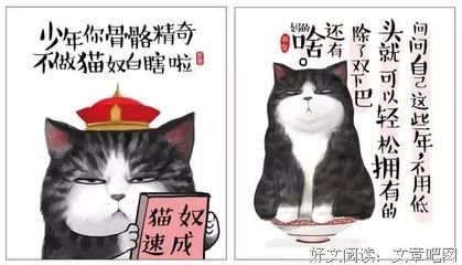 喵公举的名言