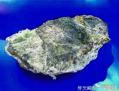 最经典的《心灵砒霜》经典句子大全