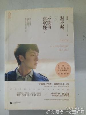 最全的《对不起，不能一并喜欢你了》经典的句子大全