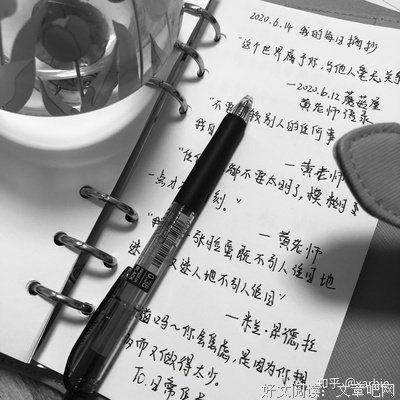 《小狗春天》读后感摘抄