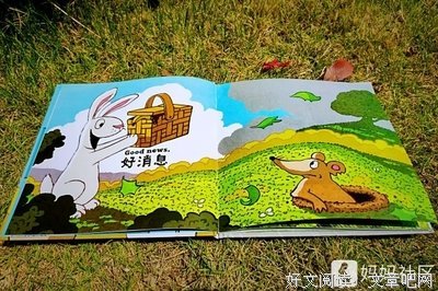 赶走黑夜的小兔子读后感锦集