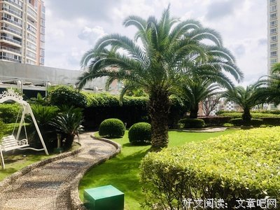 《巴比伦空中花园》经典读后感有感