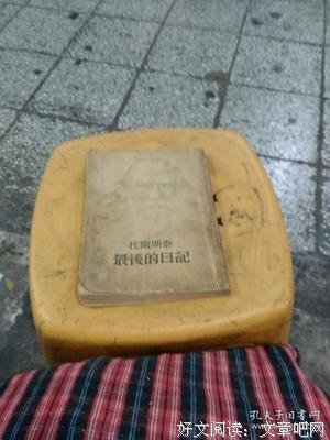 《托尔斯泰最后的日记》读后感锦集
