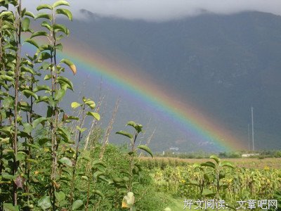 丽江有一种低调的高贵叫“呼儿换”
