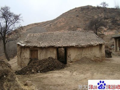 《风起陇西》读后感精选