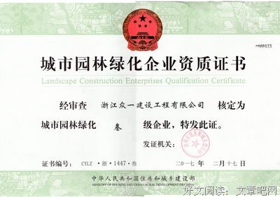 小说中医经典读后感有感