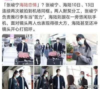 我愛，我不愛读后感摘抄