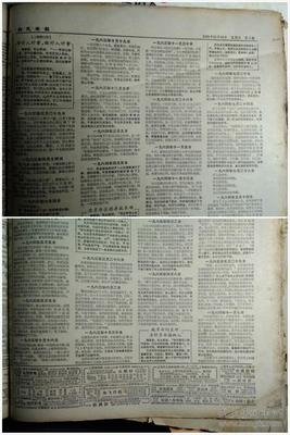 两个女人读后感摘抄