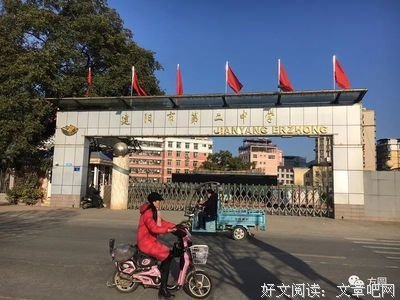 《寻找章莹颖》的影评大全