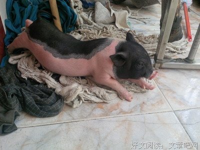 《我的冤家住对门》观后感精选