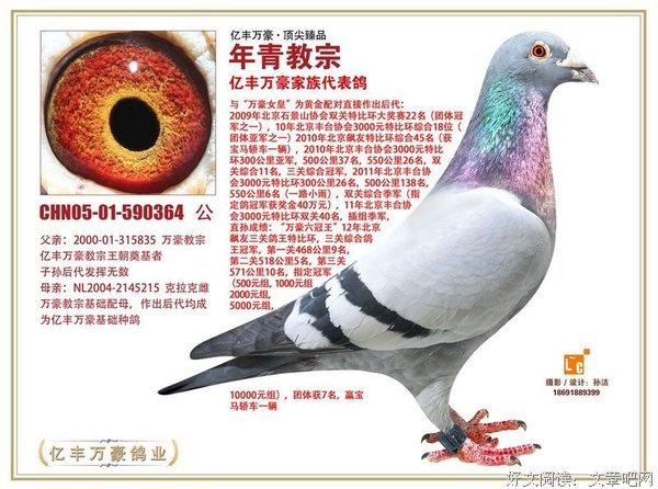 《年轻的教宗 第一季》好看吗？经典观后感锦集
