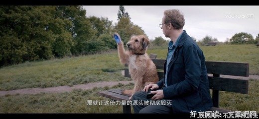 《魔法王国》观后感100字