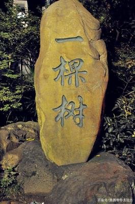 北海有墓碑经典的句子
