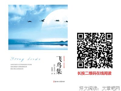 飞鸟集的句子