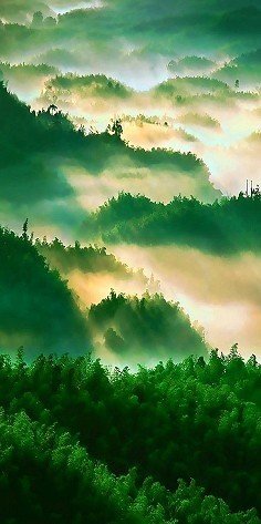 傲了之年作的优美句子