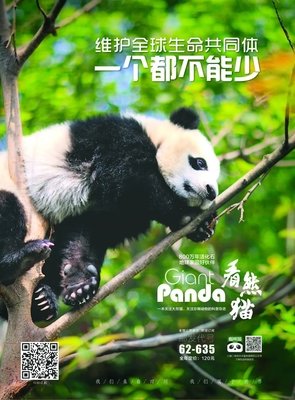 读者语录