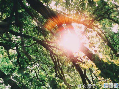 关于疯疯癫癫的语句