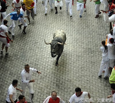 与公牛一起奔跑读后感锦集