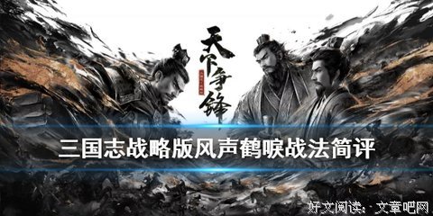《风声鹤唳》读后感锦集