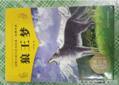 《狼王梦》的读后感大全
