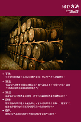 《飞行酿酒师》经典读后感有感