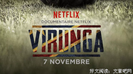 《维龙加》经典观后感1000字